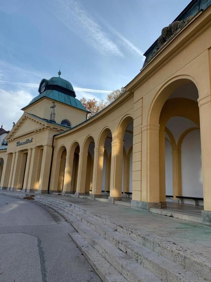 Villa Pazelt Top1 Bad Voeslau Exterior foto